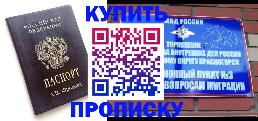 прописка поиск в Оленегорске